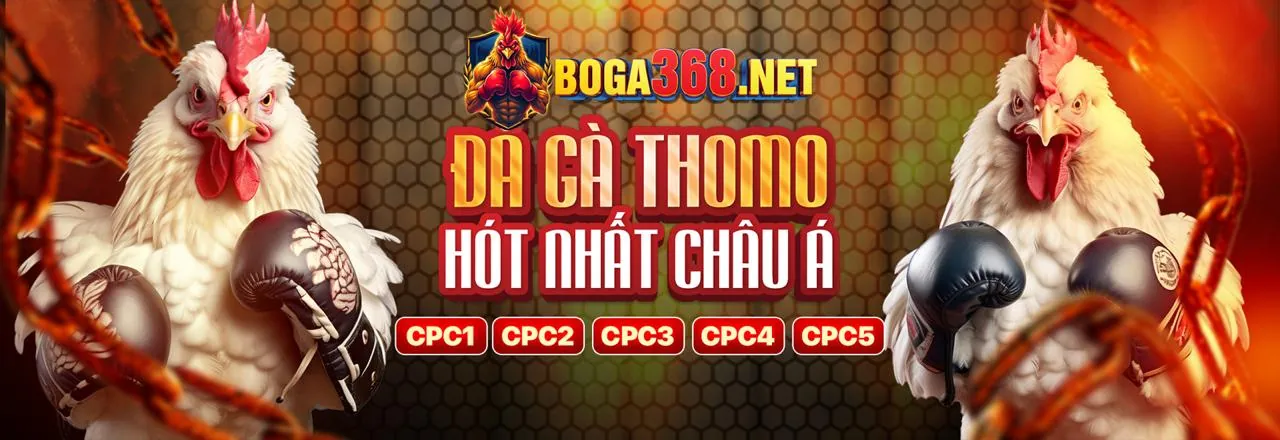 Đá Gà Trực Tuyến Hấp Dẫn tại atm99